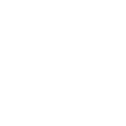 VigorX Pro 60-Day 100 Percent Money Back Guarantee Official Seal